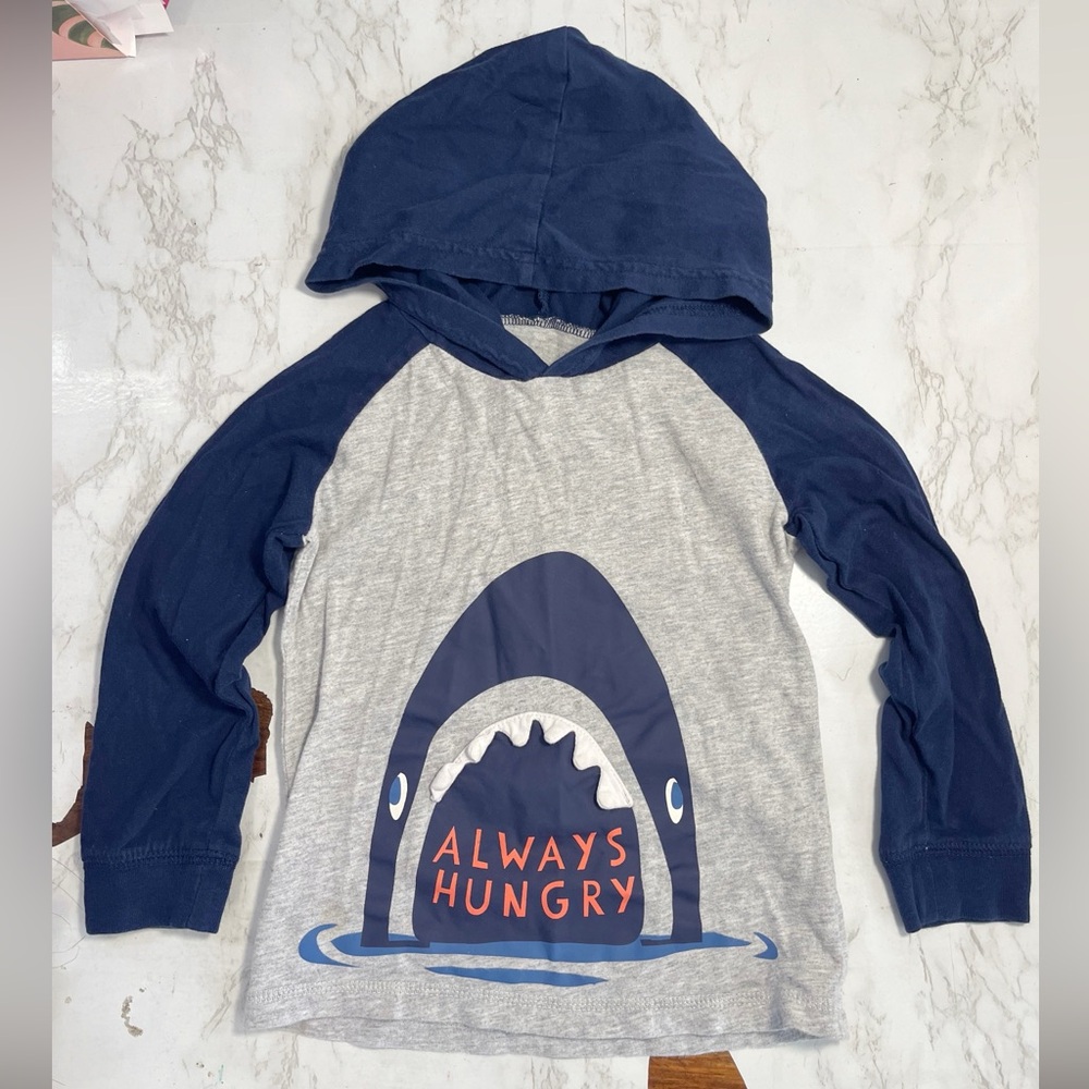 3T Toddler Boy Bundle Dino Skeleton Shark Hoodies Shirts Carter’s Cat & Jack - Picture 7 of 9